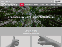 Tablet Screenshot of demoucelle.com